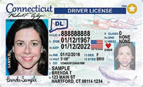 ct state license website